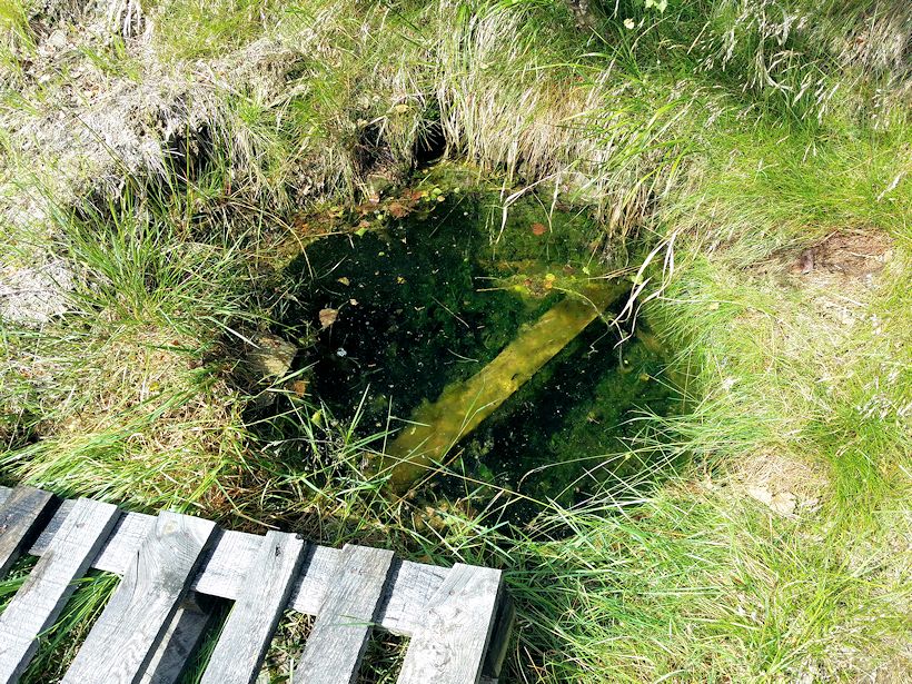 studánka bez jména (8769) - červen 2014