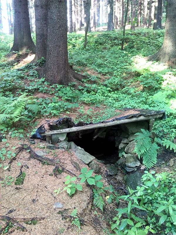 studánka Nad Blatinou (8774) - červen 2014