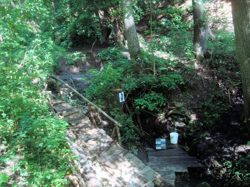 studánka Živa (8834) - březen 2021