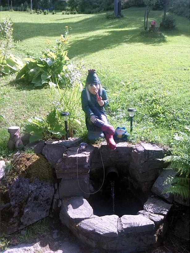 studánka Nad pilou (8849) - červenec 2014