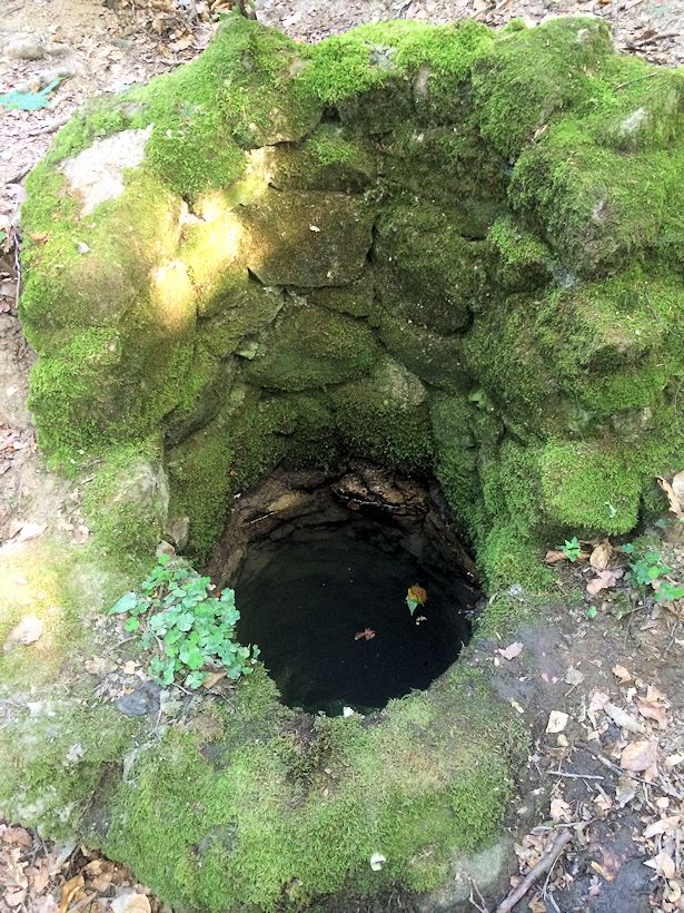 studánka Metúdka (8862) - červenec 2014