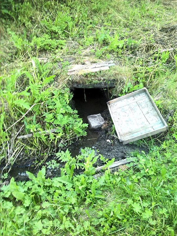 studánka Herbortická dolní (8869) - červenec 2014
