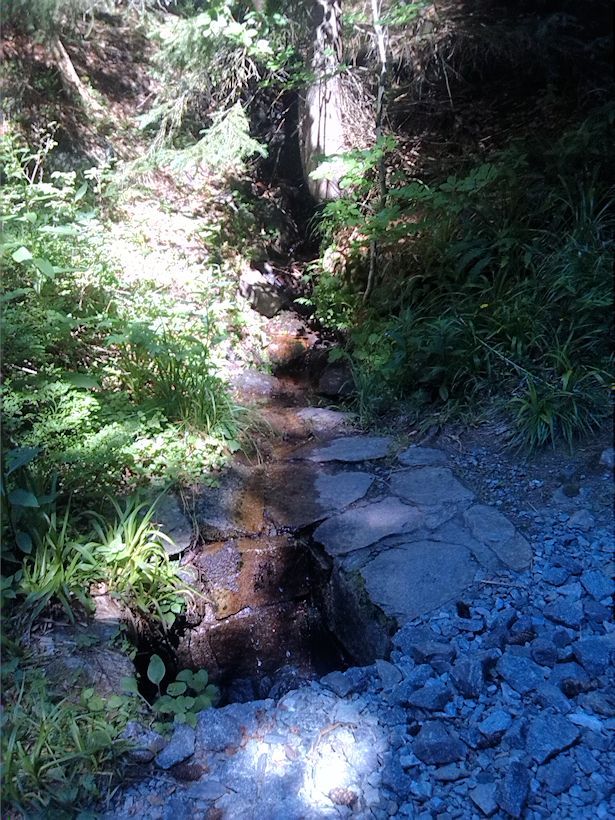 studánka Na žluté II (8875) - červenec 2014