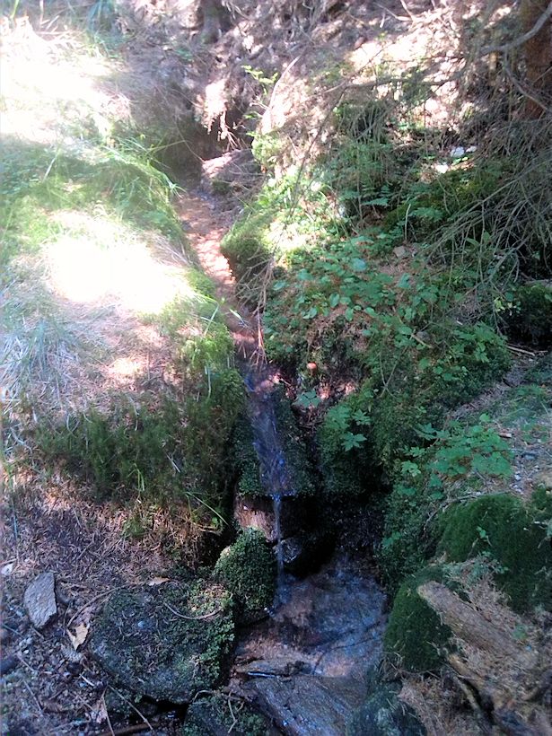 studánka Pod Zbojnickou chatou (8878) - červenec 2014