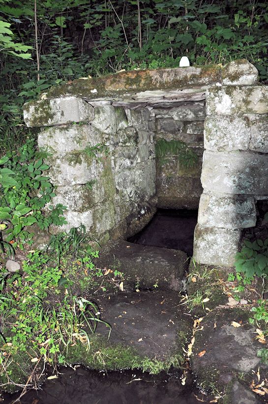 studánka Na Žídkových Pasekách (8898) - červenec 2014