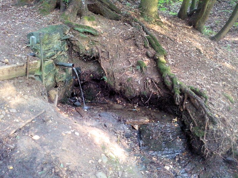 studánka U přehrady (8900) - červenec 2014