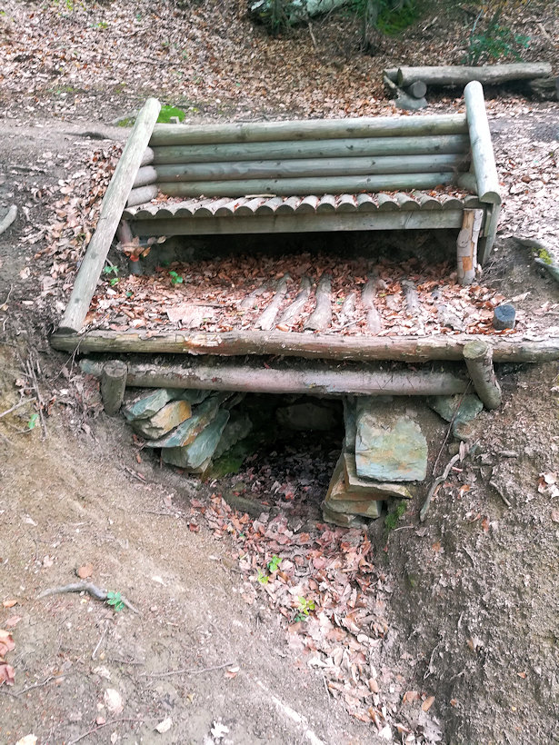 studánka Na Hradech (8910) - červen 2019