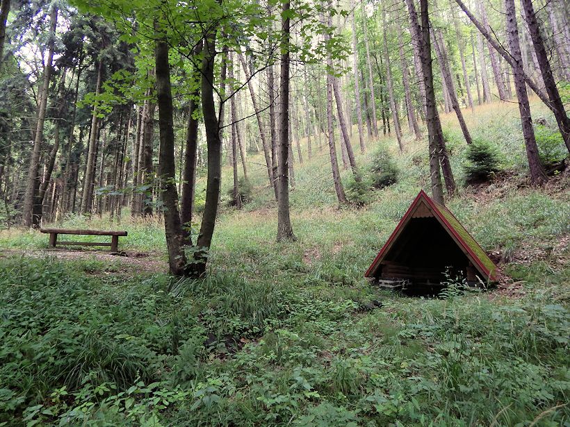 studánka Pod Sedlem 2 (8914) - červenec 2014
