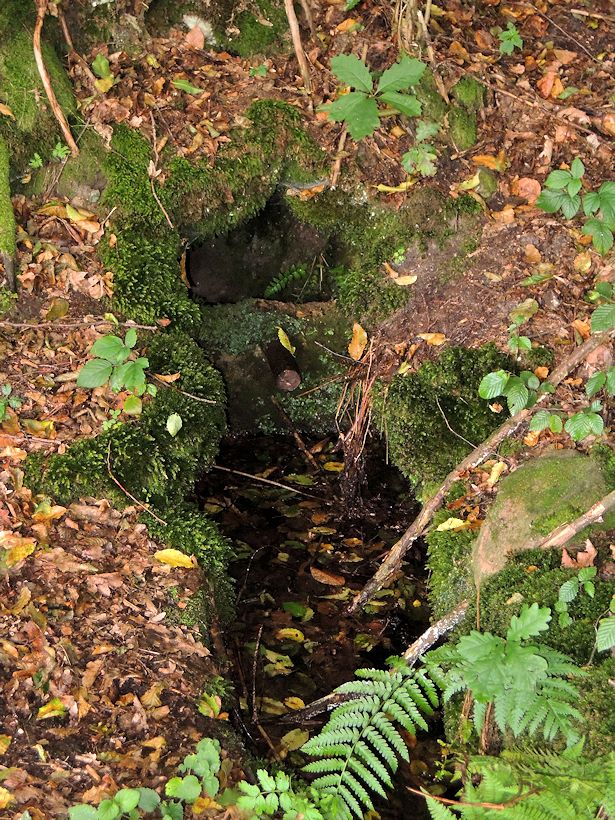 studánka bez jména (8929) - srpen 2014