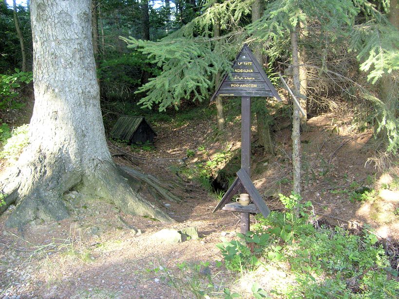 Koskova studánka pod Amosem (8931) - srpen 2014