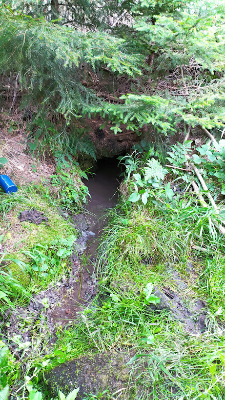 studánka Pod Brdem (8944) - červenec 2020
