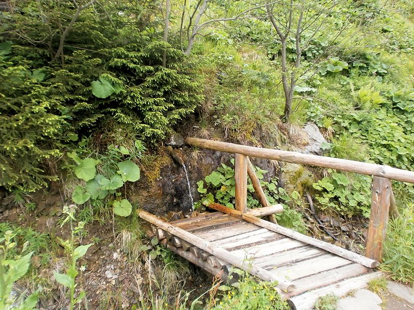 studánka bez jména (8946) - srpen 2014