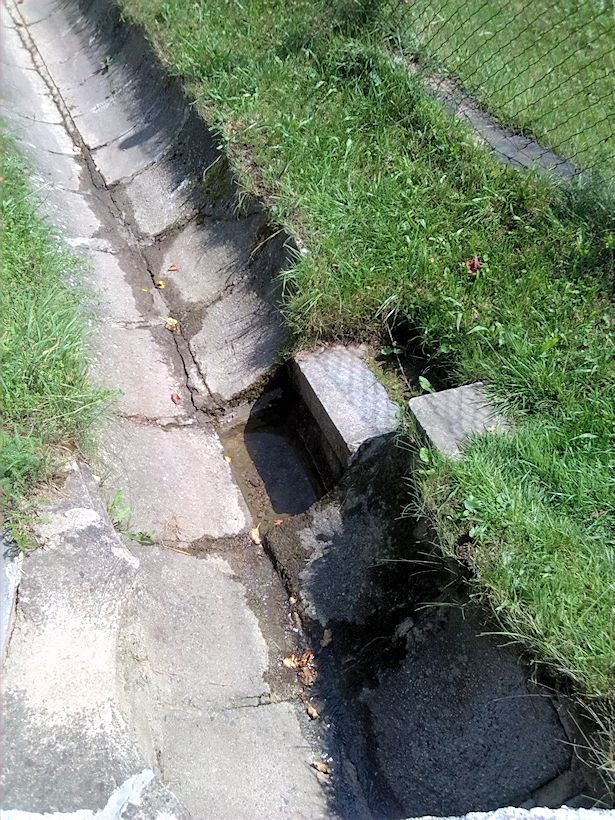 studánka U Horního Dvora (8948) - srpen 2014