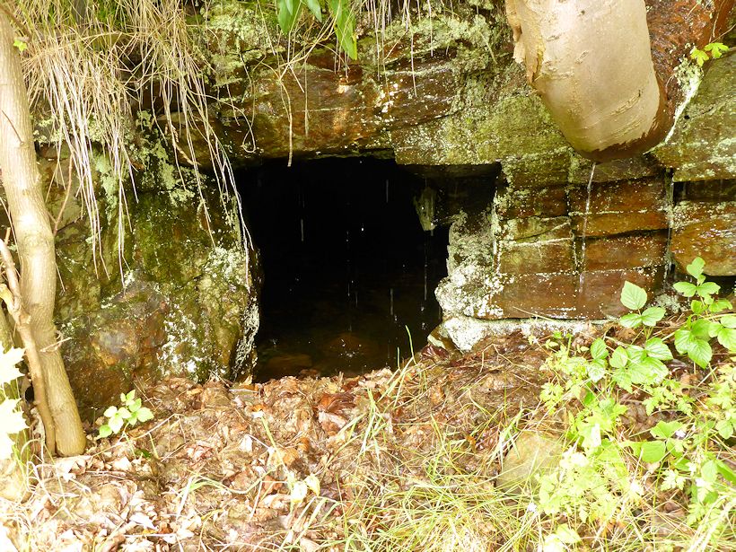 studánka bez jména (8955) - srpen 2014