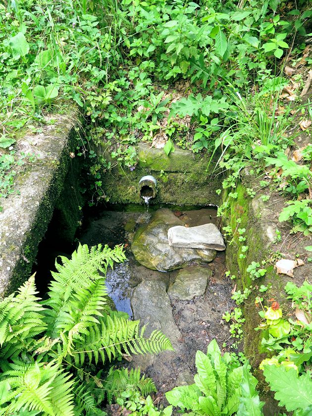 studánka Za Vandovou pilou (8958) - srpen 2014