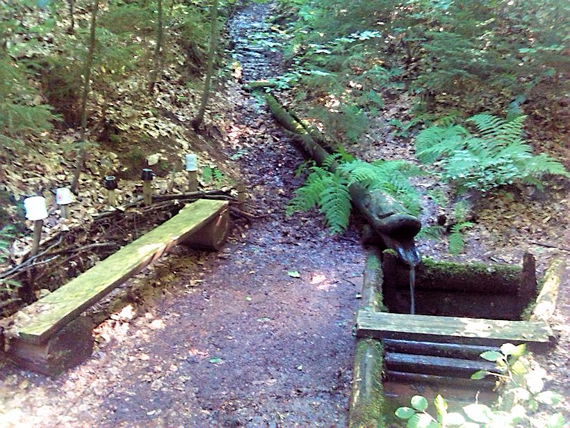 studánka Potočnice (8963) - srpen 2014