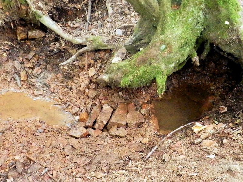 Simandlovská studánka (8965) - srpen 2014