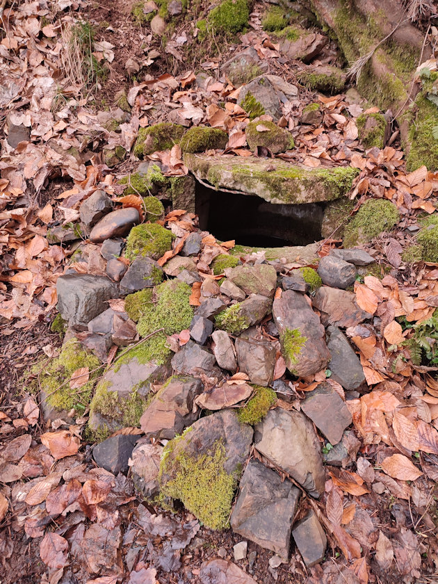 studánka bez jména (8972) - březen 2023