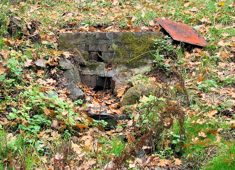 studánka U Škrpálu (8976) - srpen 2014