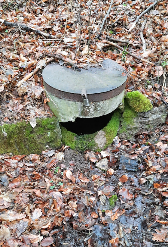 studánka Silniční (8979) - březen 2022