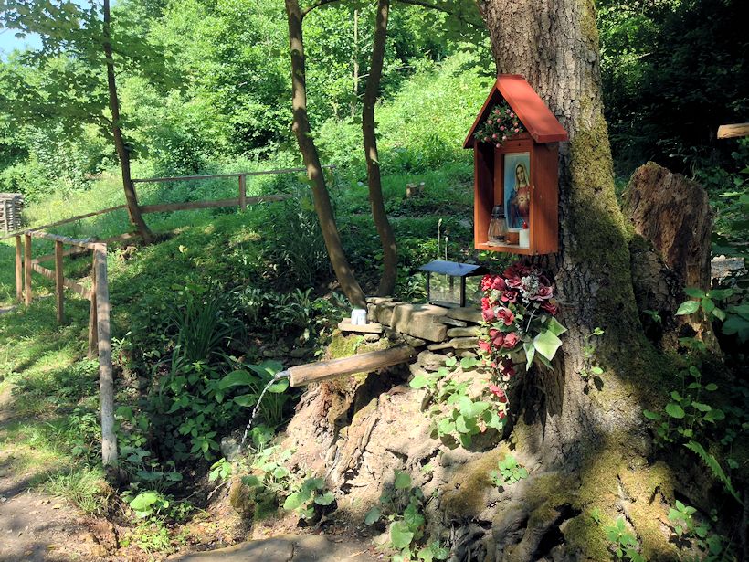 studánka Kopanice (10004) - červenec 2015