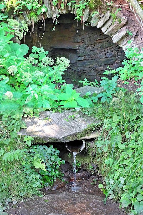 studánka Rýchorské sídliště (10005) - červenec 2015