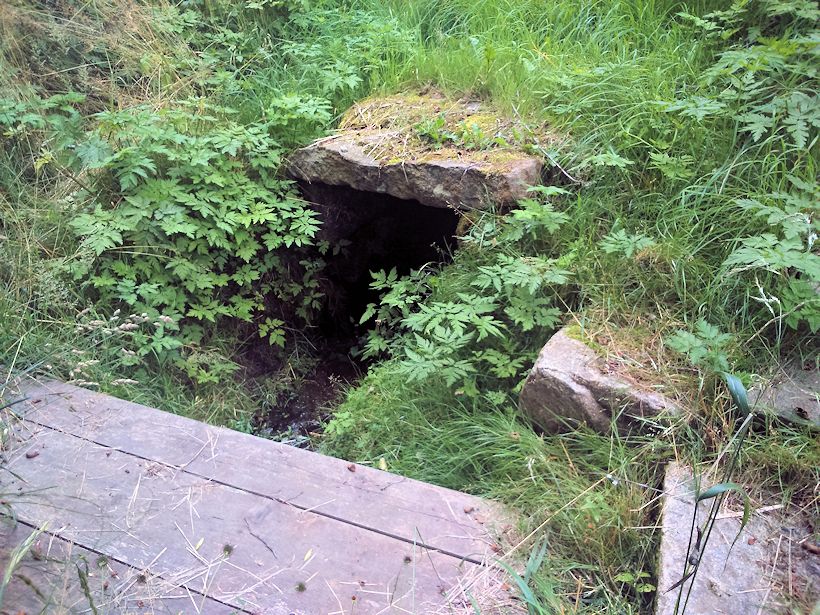 studánka bez jména (10025) - červenec 2015