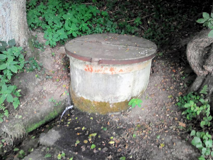 studánka Pod Svákovem (10026) - červen 2019
