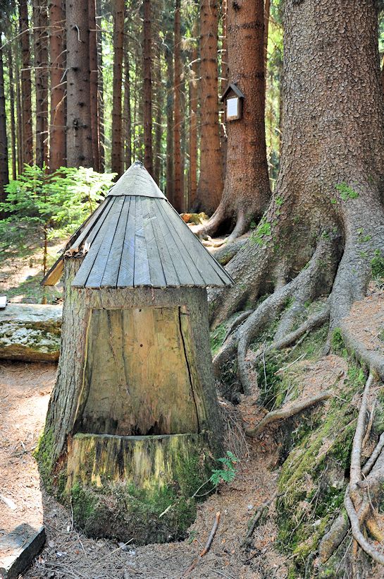 studánka Belka (10027) - červenec 2015