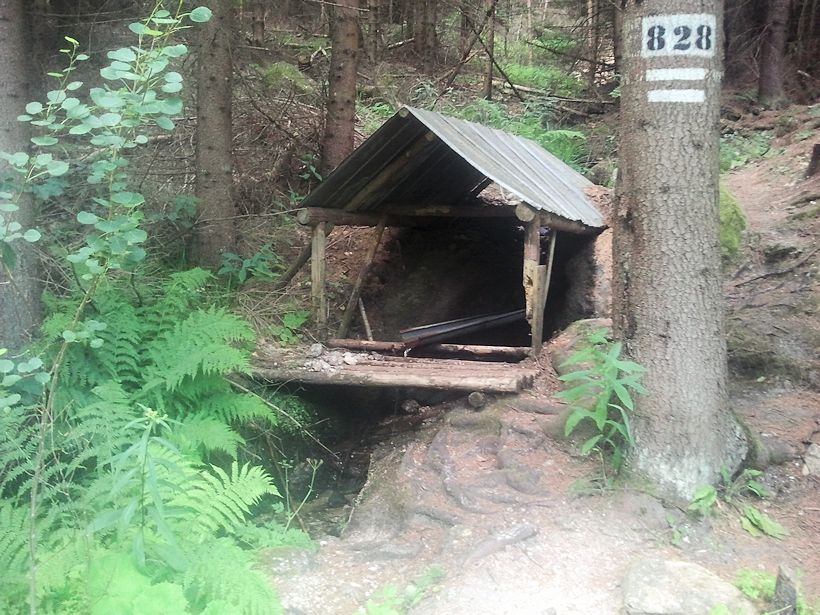 studánka Pod Huťským rybníkem (10031) - červenec 2015