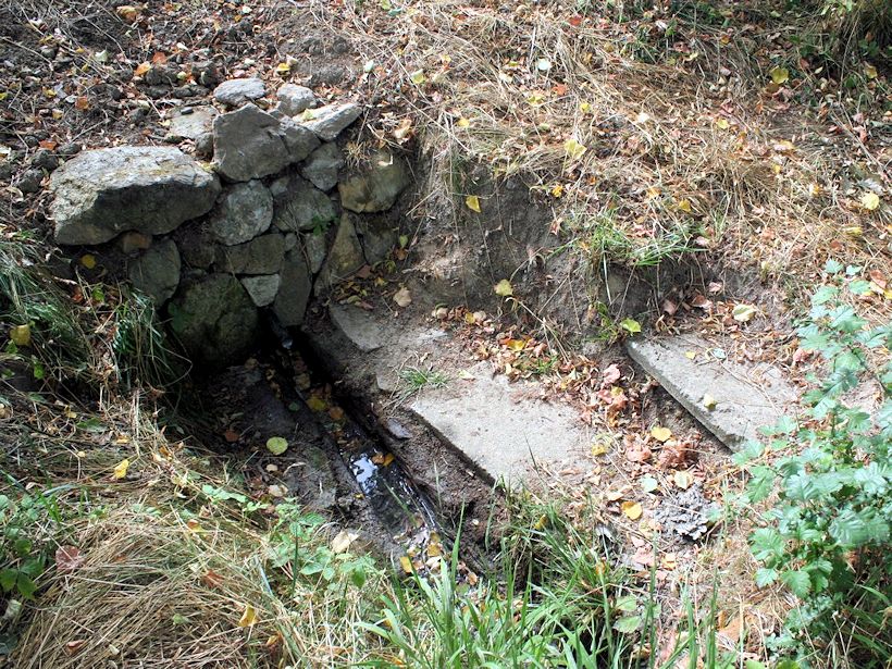 Sirkový pramen (10037) - červenec 2015