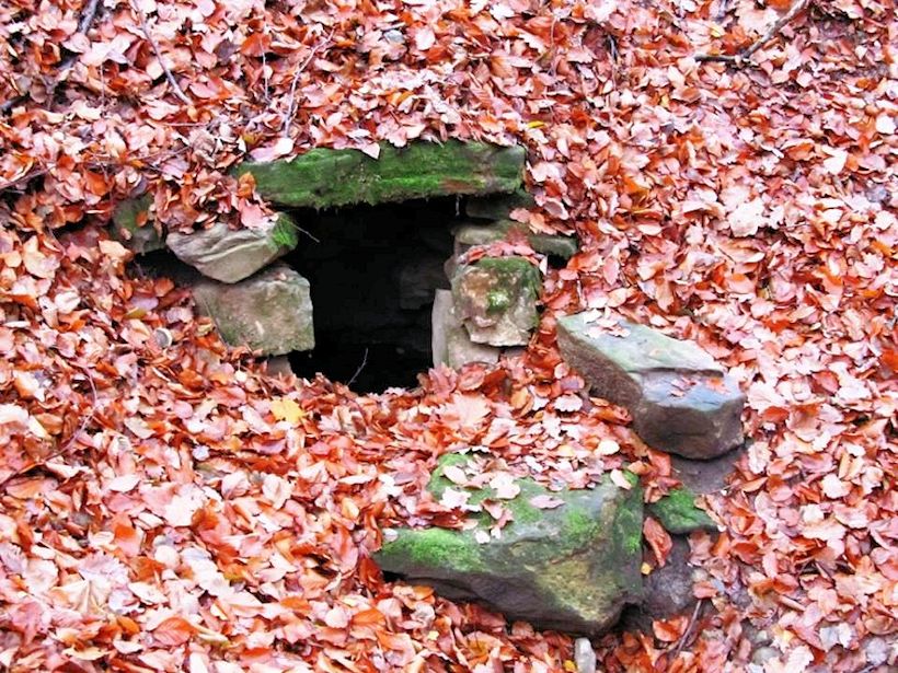 Staříčkova studánka (10046) - srpen 2015