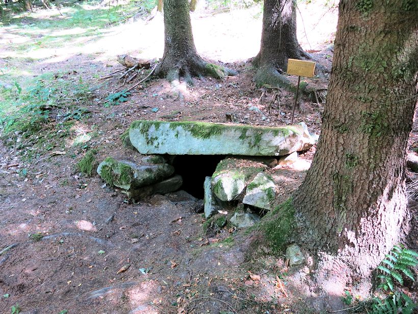 studánka U Zlatého telete (10059) - srpen 2015