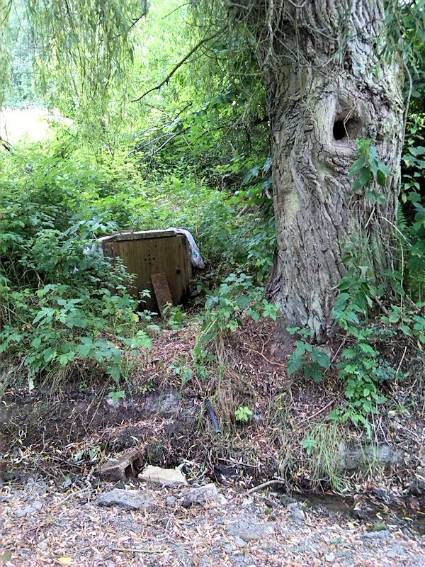 studánka Pod Babinou (10063) - srpen 2015
