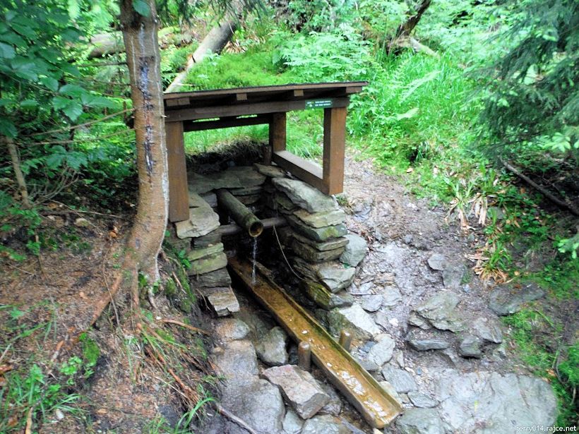 studánka bez jména (10074) - srpen 2015