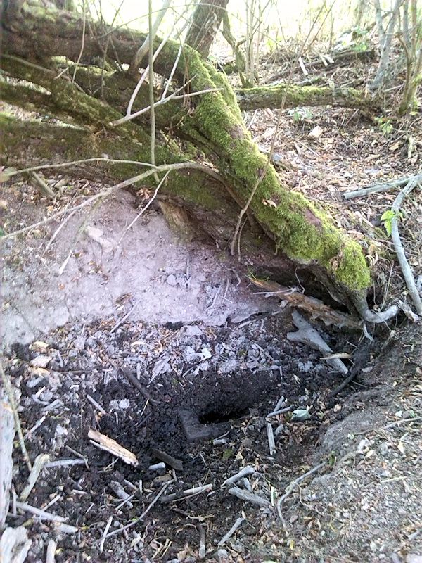 studánka Pod Buršovým kopcem (10079) - srpen 2015