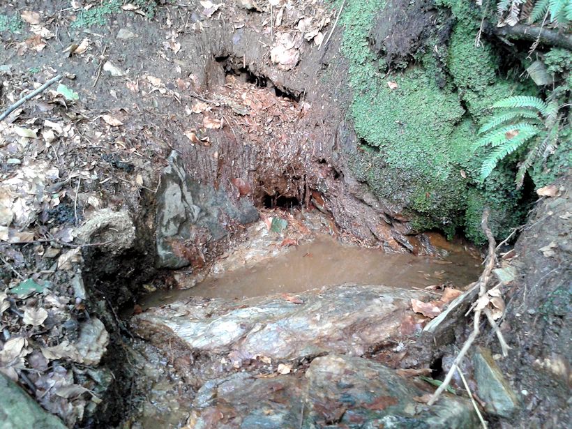 studánka Nad Ztracenkou (10095) - srpen 2015