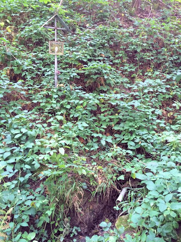 Bartoníkova studánka (10119) - září 2015