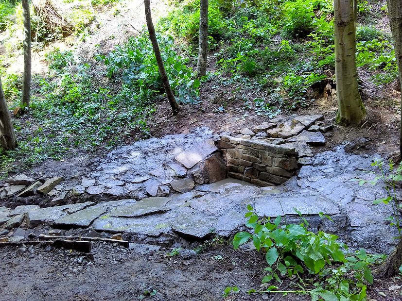 Výletní studánka (10120) - květen 2015