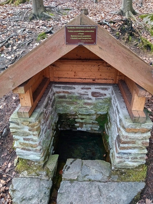 studánka U vyžlovského rybníka (10125) - duben 2024