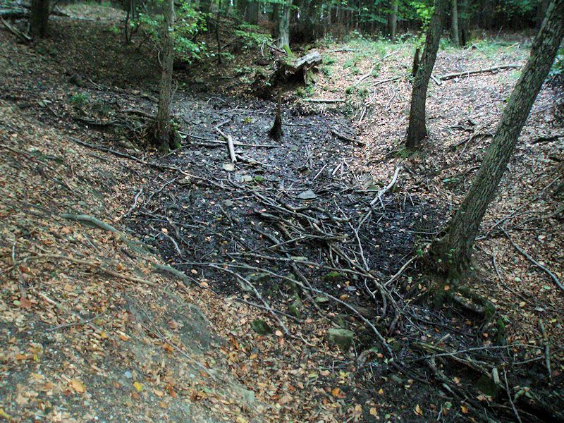 prameniště Pod Tvarůžkem (10150) - říjen 2015