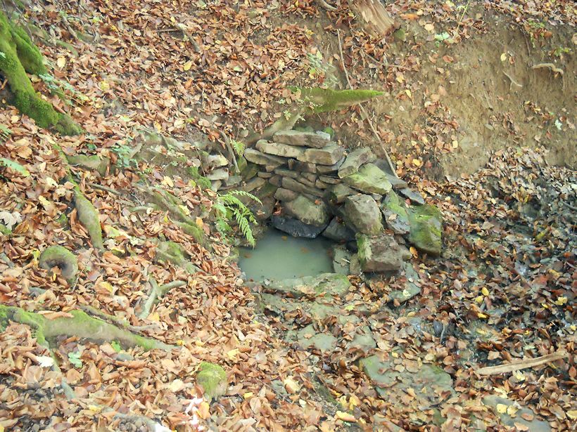 studánka Pod bukem (10174) - říjen 2015