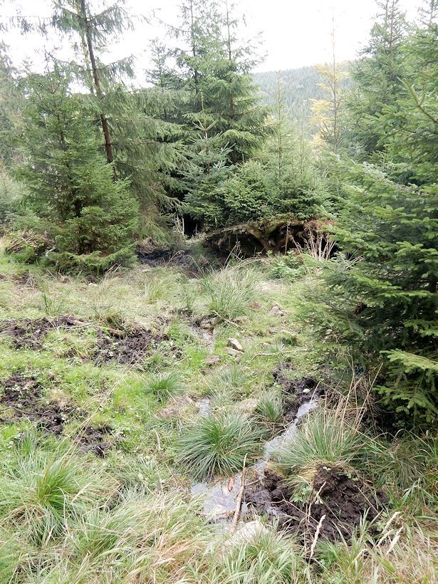 pramen Nad Peklem (10184) - říjen 2015