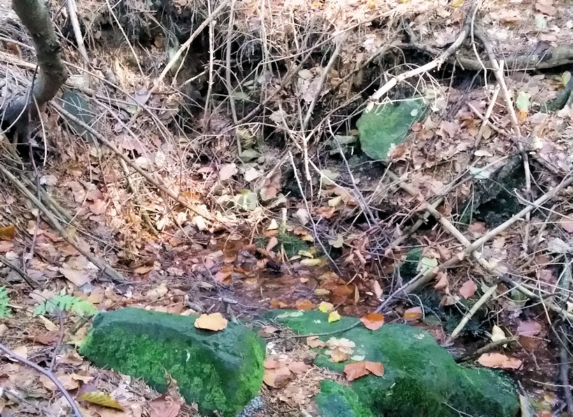 pramen Jedličná (10197) - říjen 2015