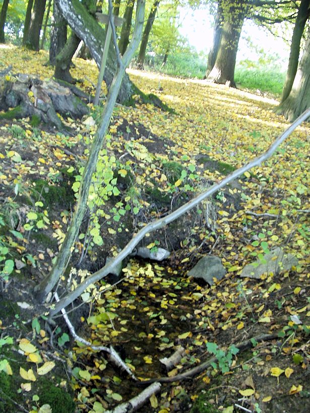 studánka Bzovka (10198) - říjen 2015