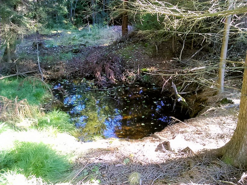 pramen bez jména (10207) - říjen 2015