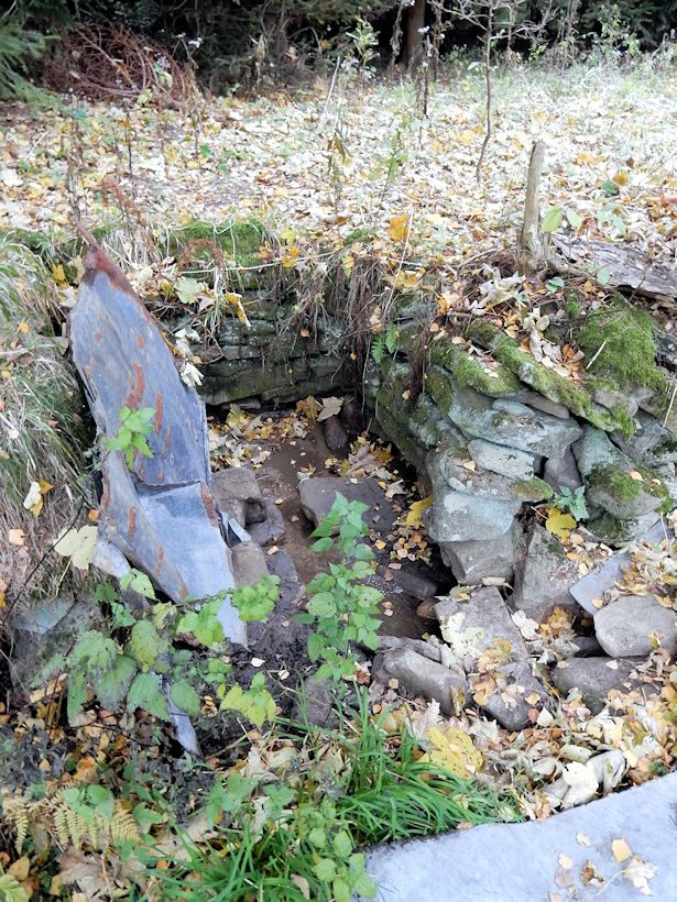 studánka Pod lesem (10231) - listopad 2015