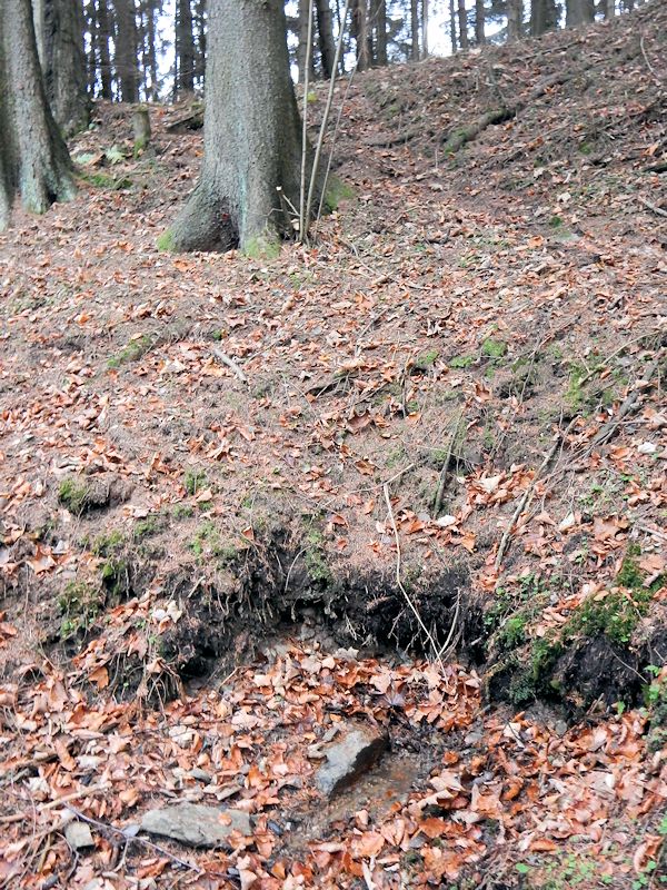 studánka Nad vodopádem (10273) - prosinec 2015