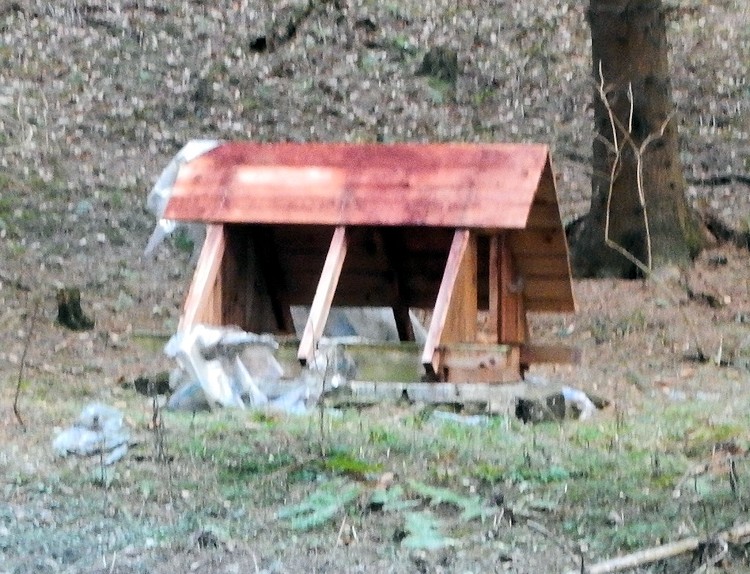 studánka Kyčera  (10326) - leden 2016