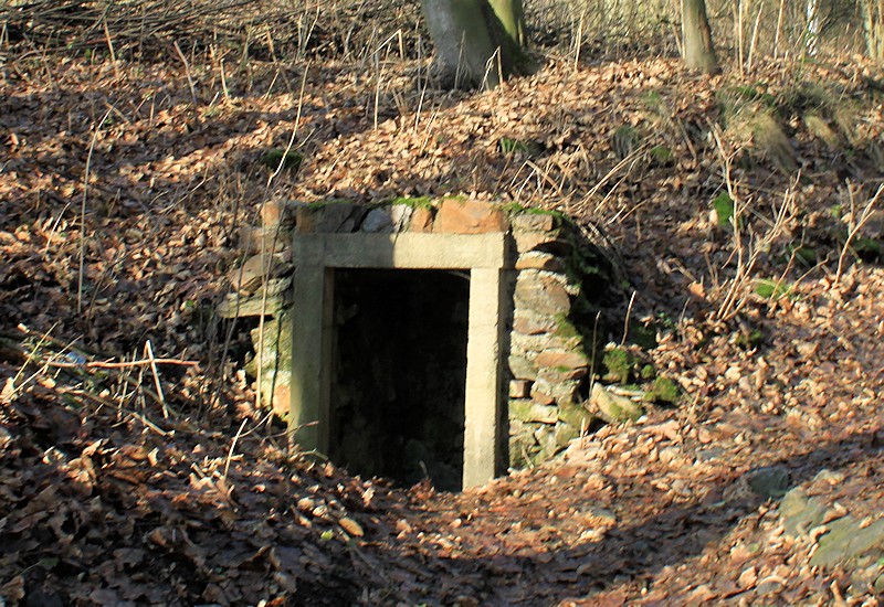 studánka Janinka (10341) - leden 2016